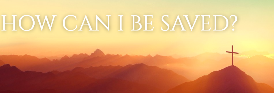 Risen Easter Sunday Church Website Banner